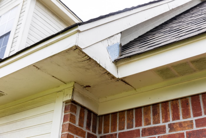 dégâts causés par les termites ou pourriture du bois