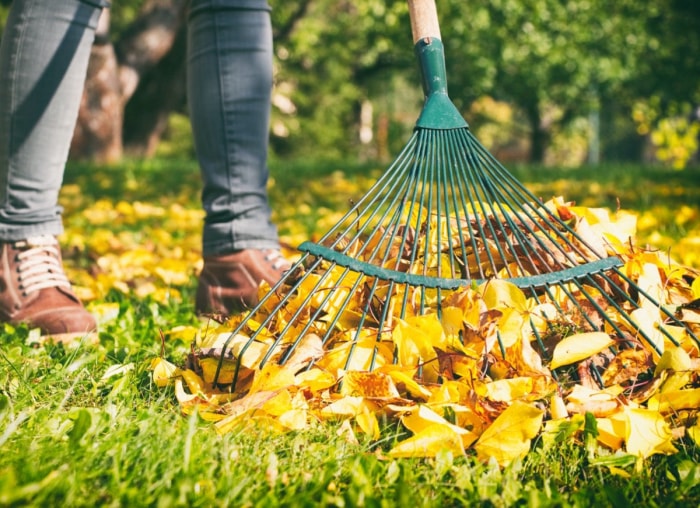 10 conseils pour réussir à vendre votre maison à l'automne