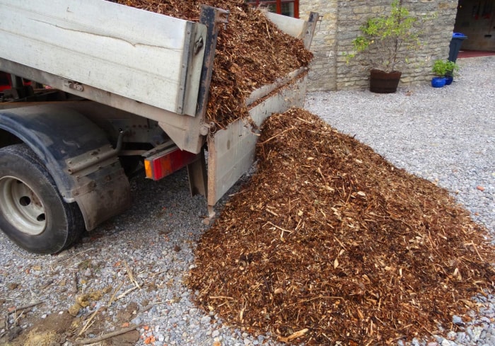 Combien coûte une verge de paillis Coûts supplémentaires