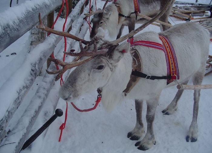 Ces 10 villes célèbrent Noël toute l'année