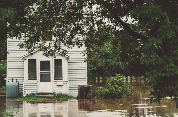 maison avec bardage blanc entourée d'arbres et pelouse inondée