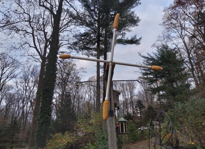 13 idées de mangeoires à écureuils à faire soi-même pour votre jardin