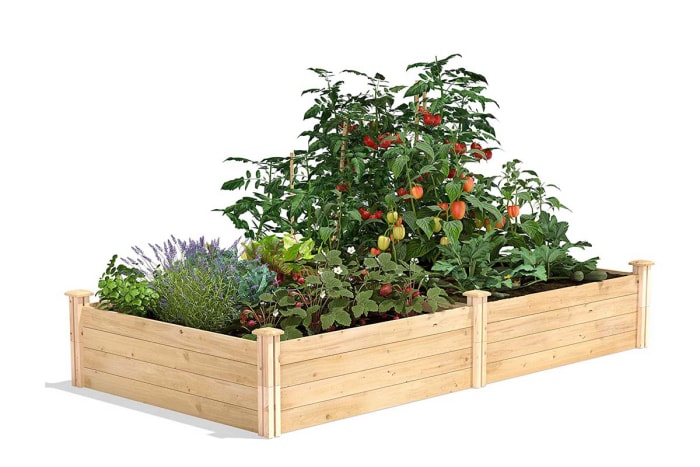 The Best Lawn and Garden Product Option Greenes Fence RC12S28B Cedar Raised Garden Bed (Lit de jardin surélevé en cèdre)