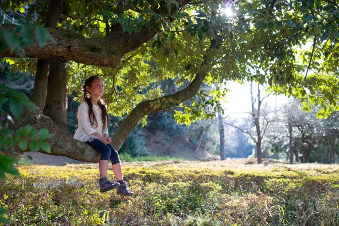 Fille assise sur l'arbre