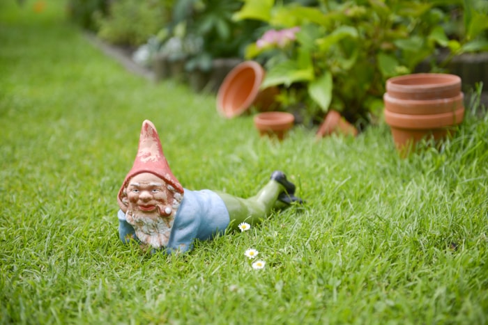 iStock-499084589 nains de jardin gnome couché dans le jardin