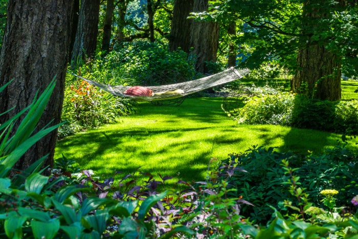 Un hamac dans un cadre ensoleillé dans le jardin