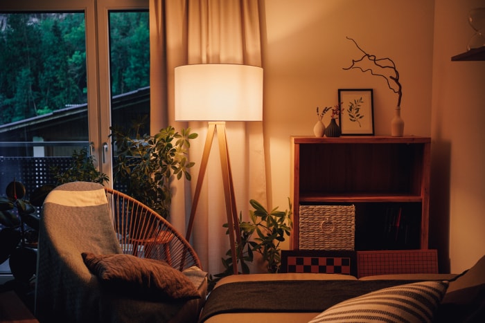 Salon cosy en soirée avec plantes en pot agrémenté de meubles aux couleurs naturelles.