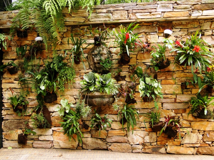 belles plantes en pot montées sur un mur de pierre avec un motif de pierre irrégulier