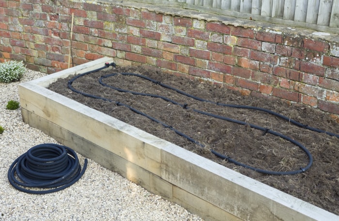 Un jardin surélevé avec un système d'irrigation goutte à goutte par tuyau suintant installé.