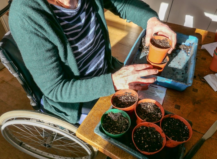 iStock-1138042436 conseils de jardinage biologique femme en fauteuil roulant rempotant des plantes