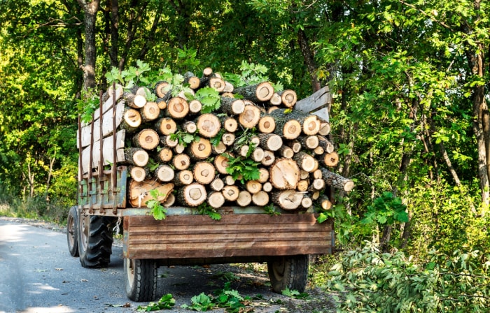 Tracteur transportant des grumes.