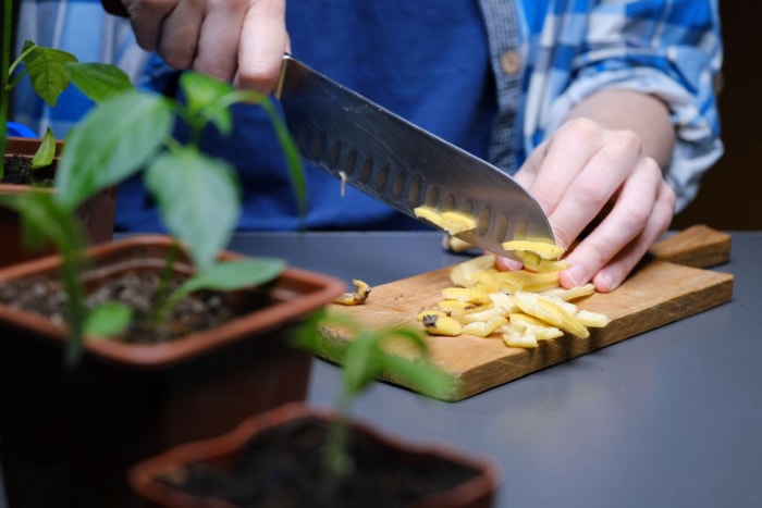 eau de banane pour plantes