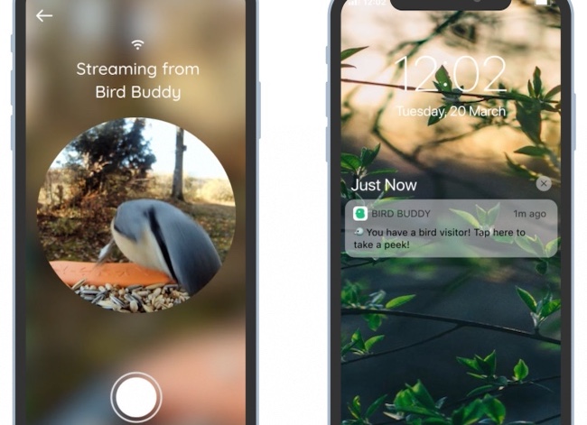 mangeoire pour oiseaux Bird Buddy avec caméra