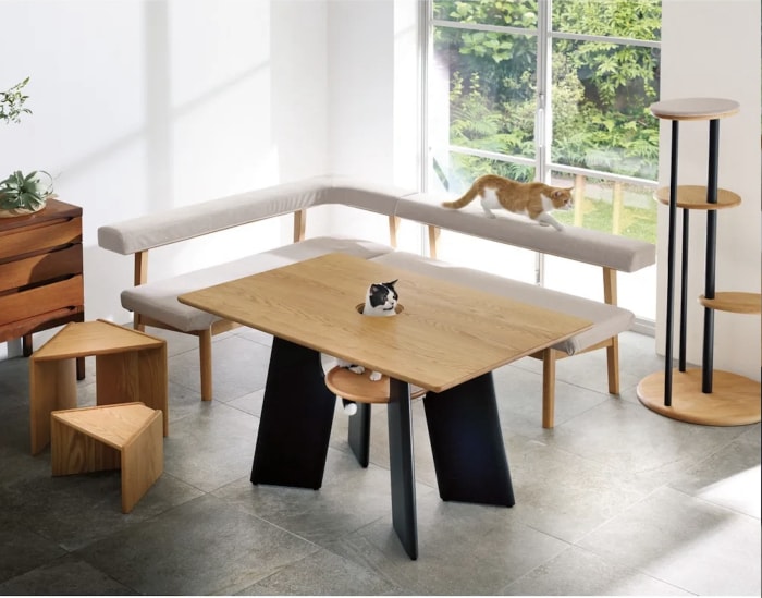 Table à manger spéciale pour animaux de compagnie Dinos avec perchoir pour chat