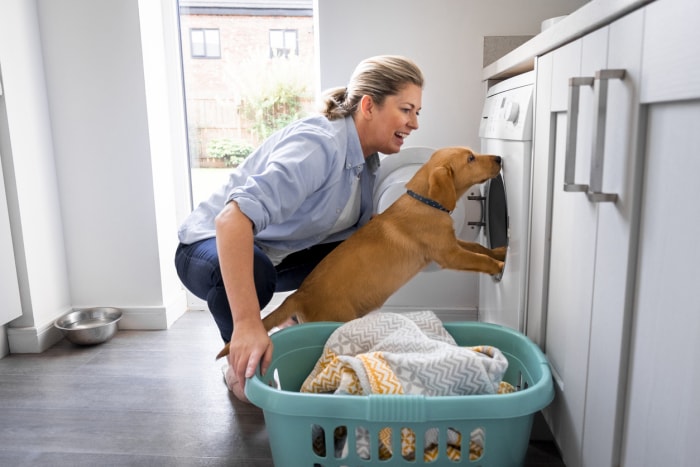 14 choses que vous ne saviez pas que vous pouviez nettoyer dans votre machine à laver femme faisant la lessive avec son chien à collier