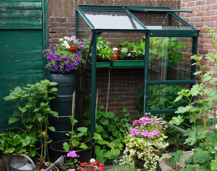 jardin-de-poche-plantes-à-fleurs-en-pot-et-petites-plantes-vertes-dans-une-petite-serre-à-côté-d'une-maison-en-briques