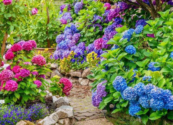 8 jardins thématiques pour vous inspirer cet été