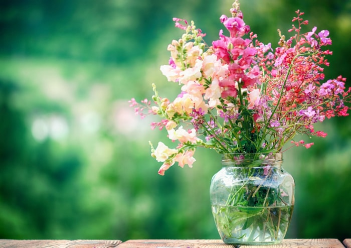 Fleurs dans un vase transparent.