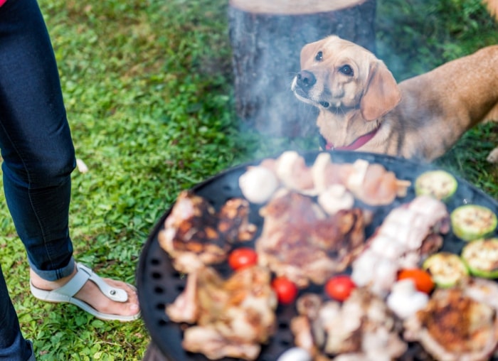 10 conseils de sécurité importants à connaître pour la saison des barbecues