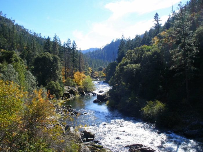 rivière saumon paysage vue à travers les montagnes