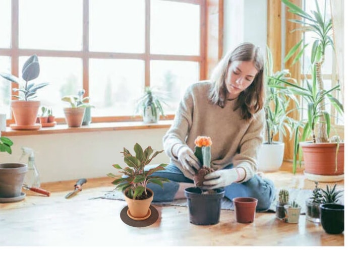 Calfeutrage des pots de fleurs pour réduire les rayures