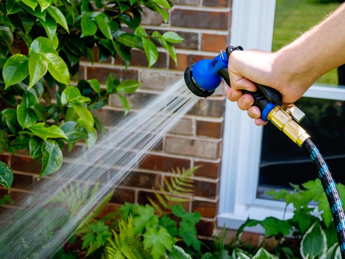 Personne utilisant un tuyau d'arrosage léger pour pulvériser des plantes à l'extérieur d'une maison en briques.