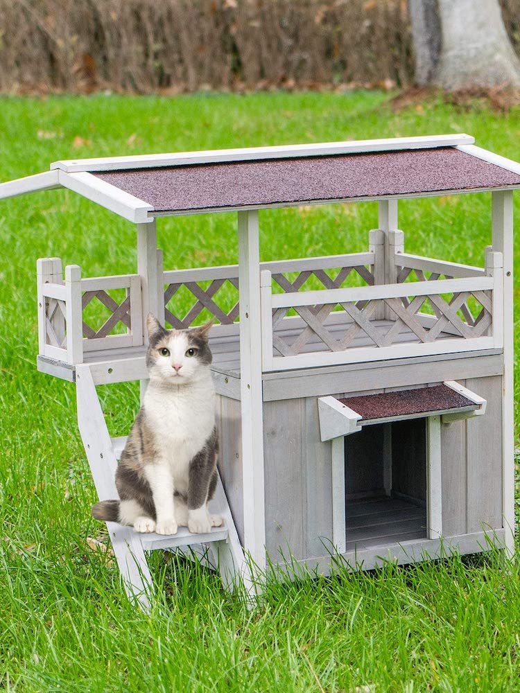 9 idées de Catio que vos amis félins vont adorer