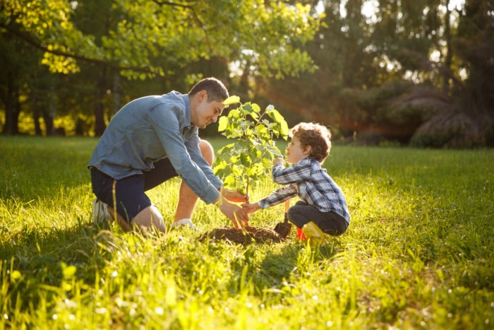 façons d'économiser de l'argent à la maison - père et fils plantent un arbre