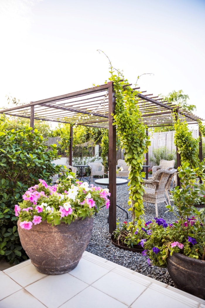 Terrasse arrière avec gravier et plantes