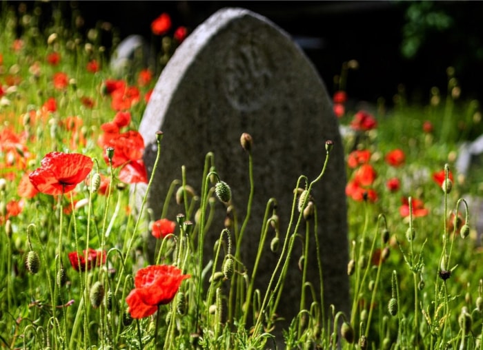 12 choses que vous ne saviez pas sur le Memorial Day