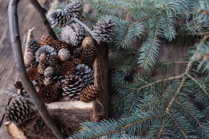 Panier avec cônes et branches de sapin. ambiance nouvel an hiver noël.