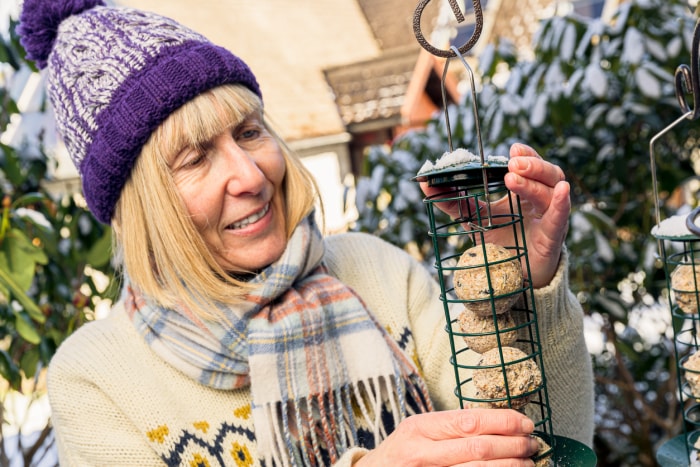 Comment attirer les oiseaux vers la mangeoire