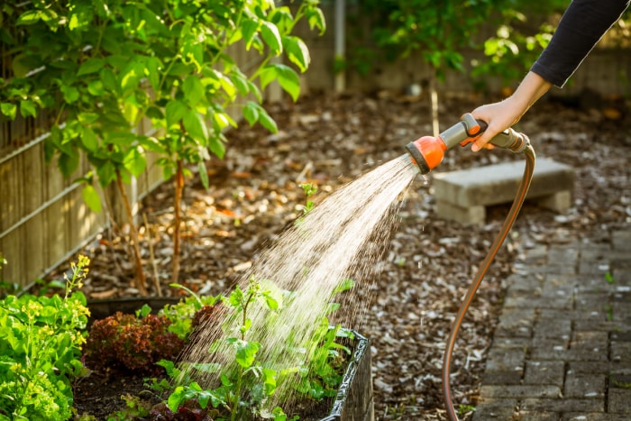 garder le jardin heureux