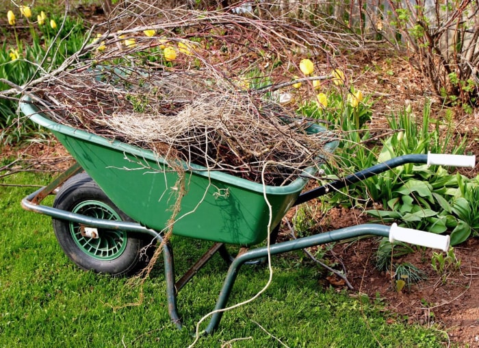 Les meilleures choses que vous pouvez faire pour votre jardin cet automne