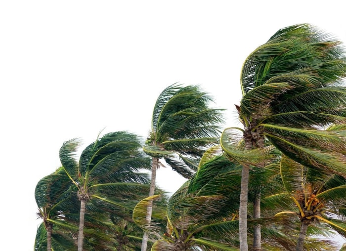 Comment survivre à un ouragan : 21 préparatifs intelligents que vous pouvez faire dès maintenant