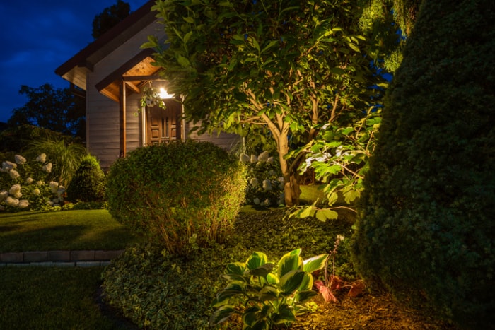 éclairage-du-paysage-arbustes-plantes-et-arbre-illuminés-la-nuit-devant-une-maison-brune