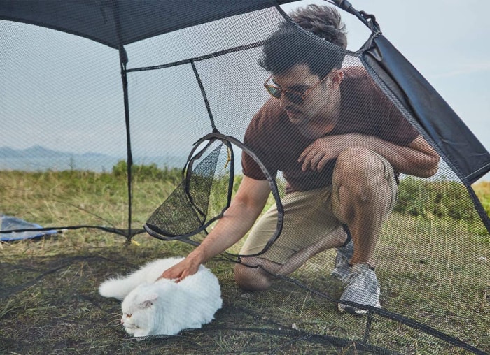 9 idées de Catio que vos amis félins vont adorer