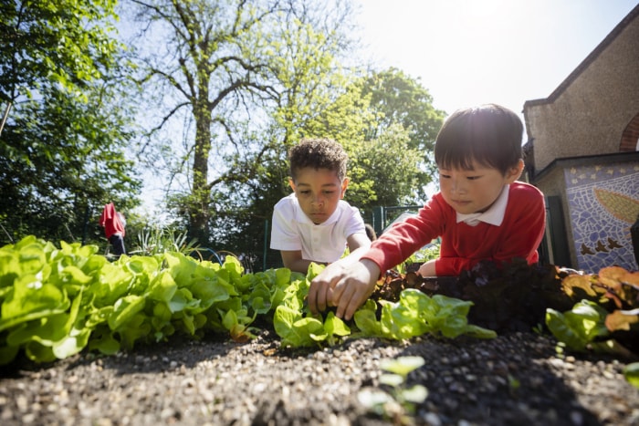 14 façons de sécuriser votre jardin pour les enfants