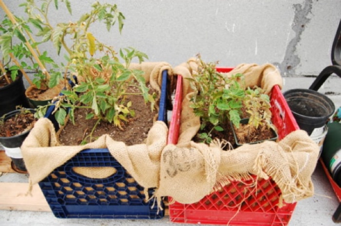 Repurpose Drawers - Planter