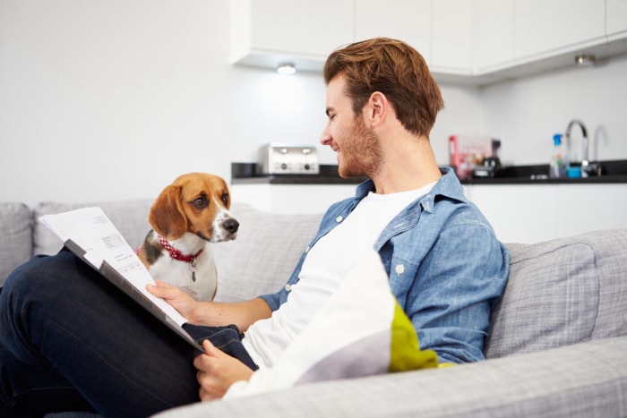 Coût de l'assurance pour animaux de compagnie