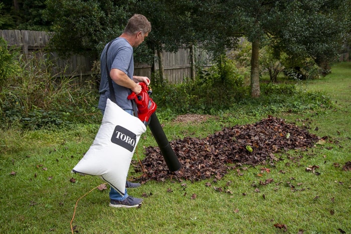 Aspirateur à feuilles Toro