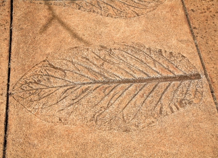 10 façons de redonner vie à un patio en béton terne