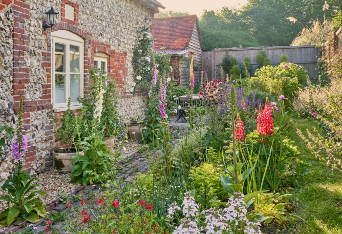 Jardin de campagne anglais avec des plantes de cottage garden en été et un mur en silex