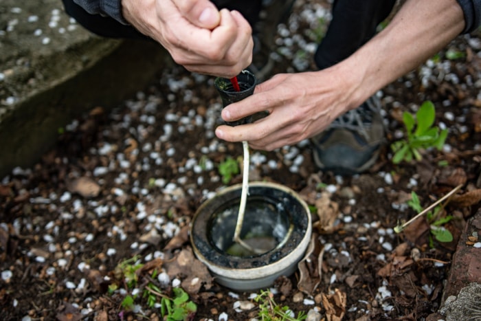 iStock-1397011631 Techniques d'éclairage vers le haut Homme installant des lumières dans son jardin