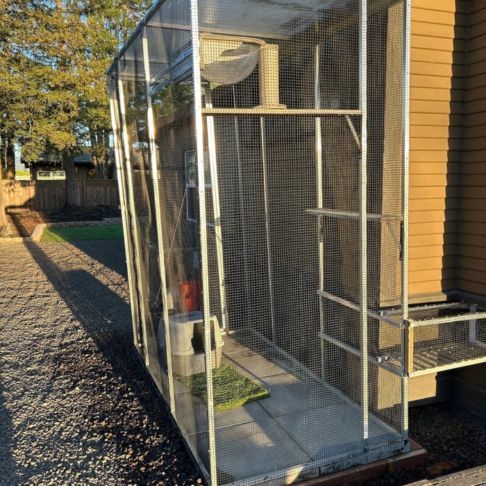 Un grand catio autoportant composé de poteaux en aluminium et de grillage à poules se dresse dans une cour arrière en gravier.