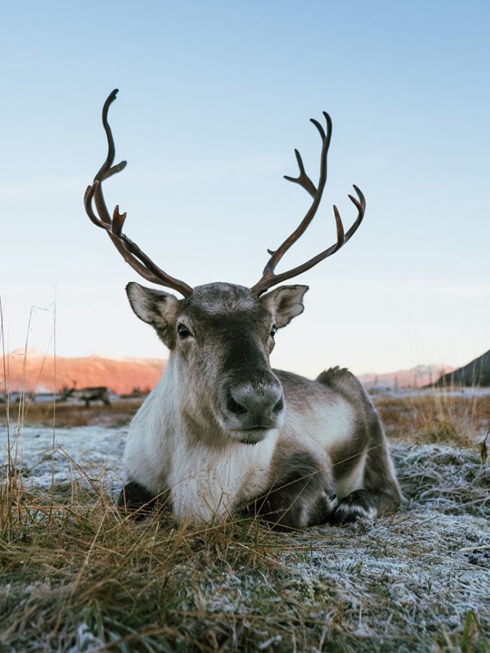 Ces 10 villes célèbrent Noël toute l'année