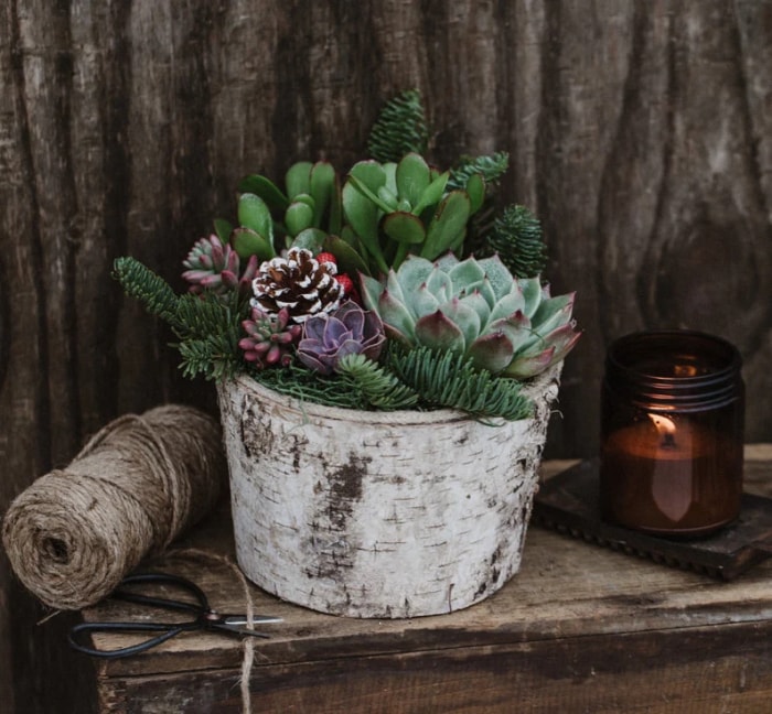 Idées de décoration d'hiver sur Etsy : panier de plantes succulentes