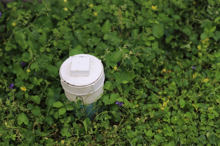 un tuyau de nettoyage d'égout en plastique blanc dans une cour herbeuse