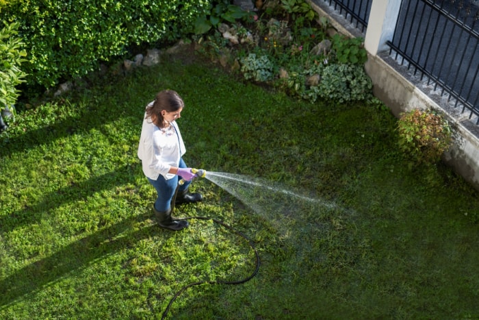 Femme arrosant le jardin