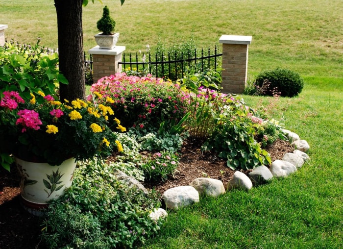 Les meilleures choses que vous pouvez faire pour votre jardin cet automne